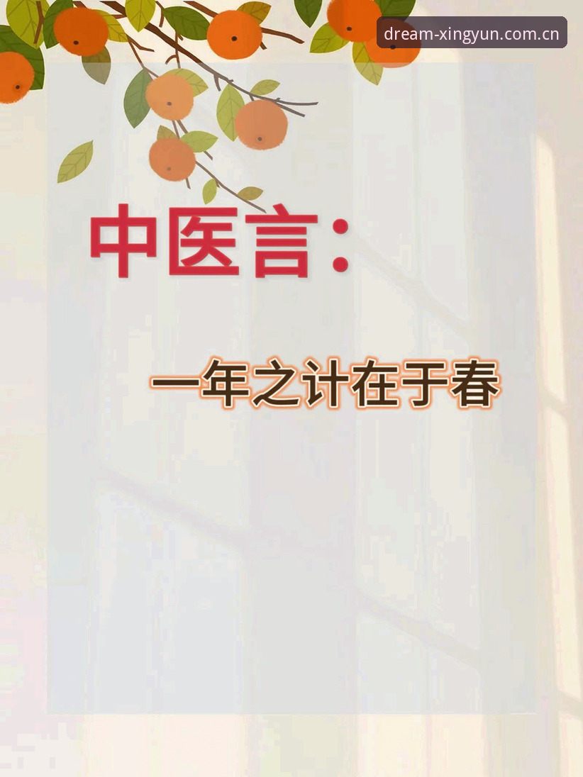杏运官方下载 杏运平台注册实用指南:从下载到入门的必备知识